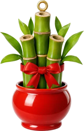 Lucky bamboo lucky charm from China